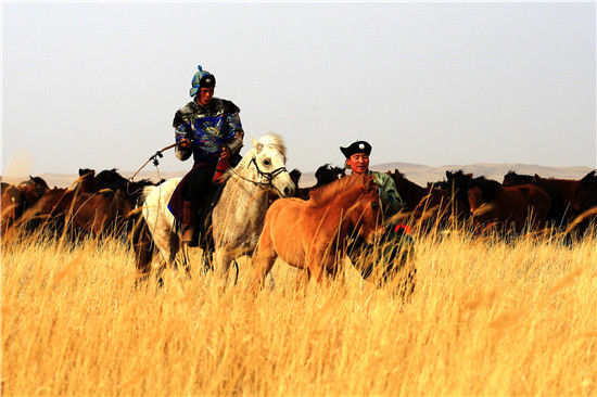 万物复苏春回草原 万马奔腾马年说马|内蒙古|旅