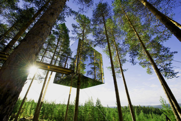 8家童趣树屋酒店 住在森林里与小松鼠为伴
