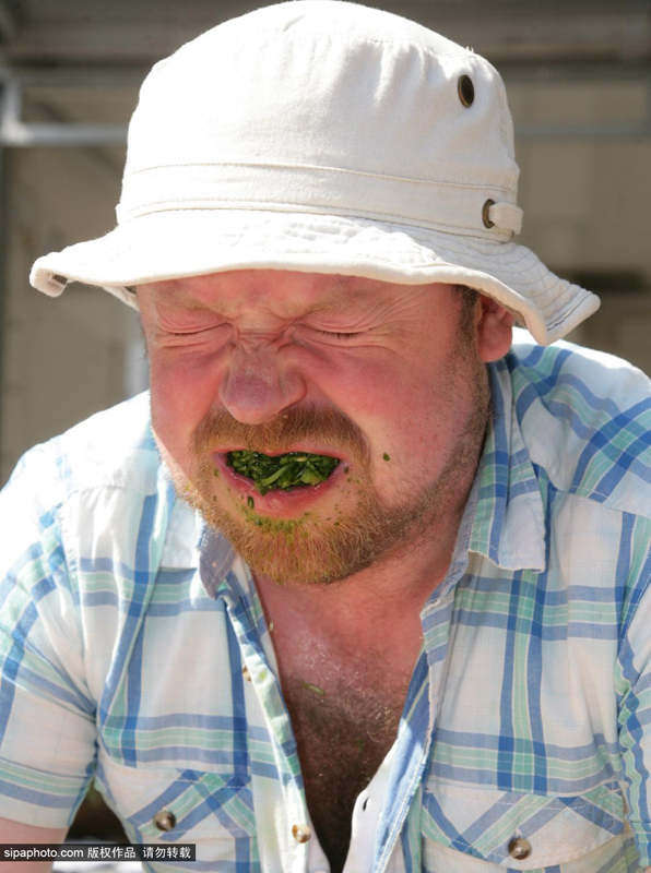 英国吃豆瓣菜大赛 选手大口塞菜表情苦不堪言