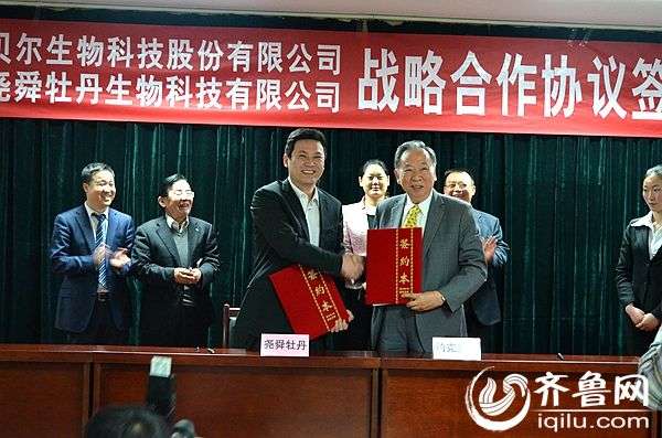 菏泽尧舜牡丹生物科技有限公司与台湾约克贝尔生物科技股份有限公司达成牡丹开发战略合作协议。(资料图）
