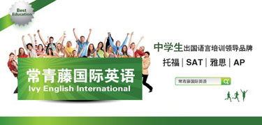 南京常青藤教育投资咨询有限公司