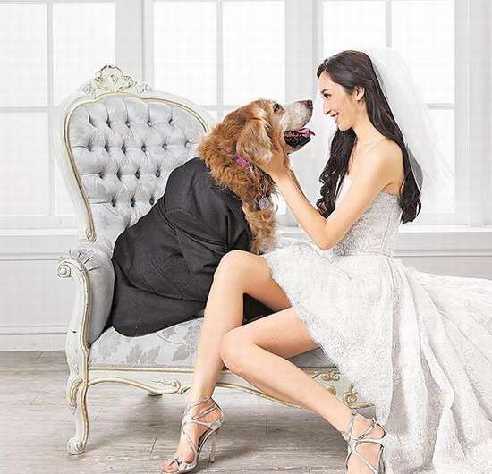 吴佩慈唯恐病危的爱犬“汉斯”无法参加婚礼，先拍婚纱写真照留念。
