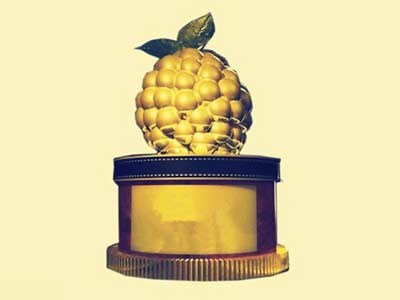 2014金酸莓奖最差女主角奖提名公布 专给奥斯