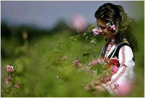 Bulgarian Rose 百年古法工艺淬炼 方得绝世玫