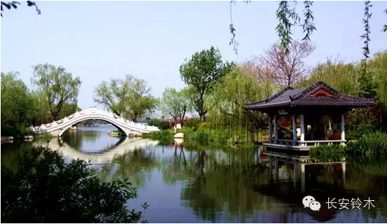 的夏日旅游攻略已派送 请注意查收!-长安铃木尖