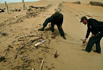 塔克拉玛干沙漠发现“高等级”古城遗址