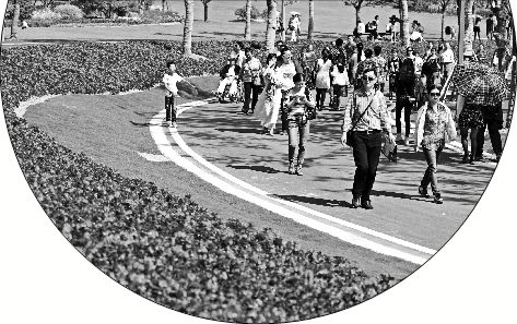 收入证明_景点门票收入(3)