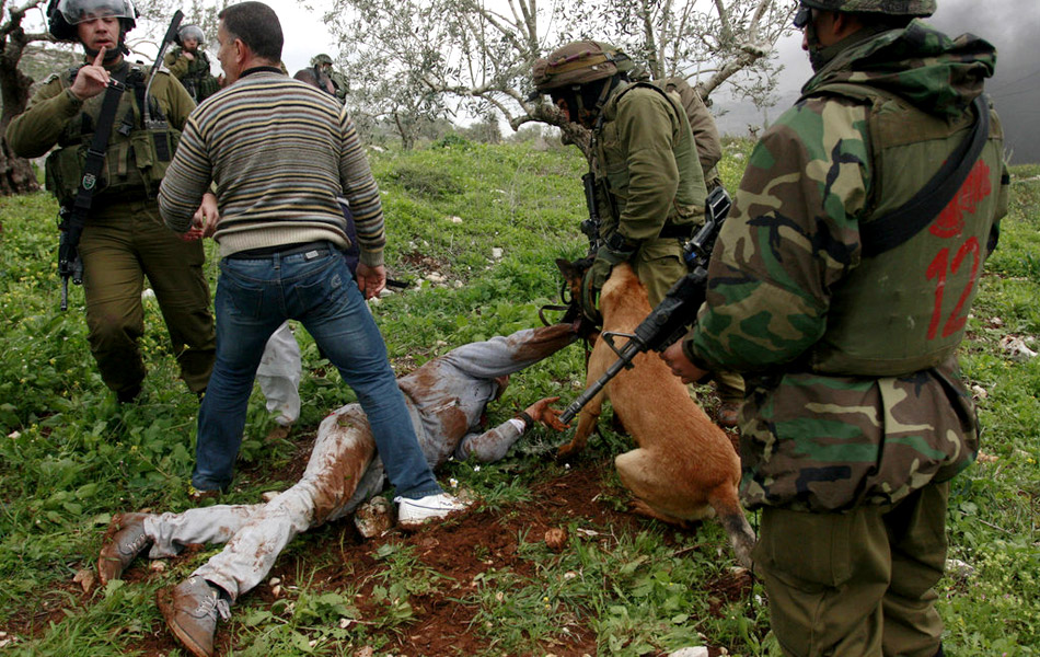 以色列军人放狗袭击巴勒斯坦示威者