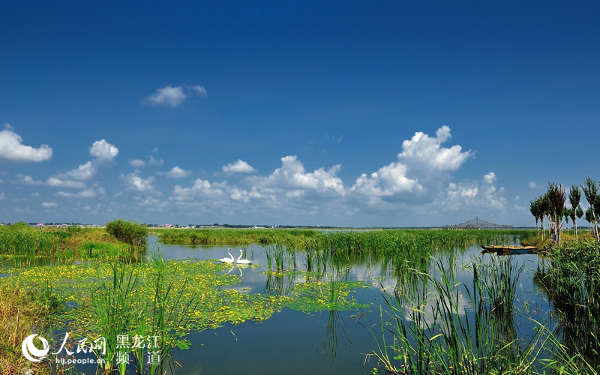 梦里水乡--哈尔滨呼兰河口湿地保护区(图)