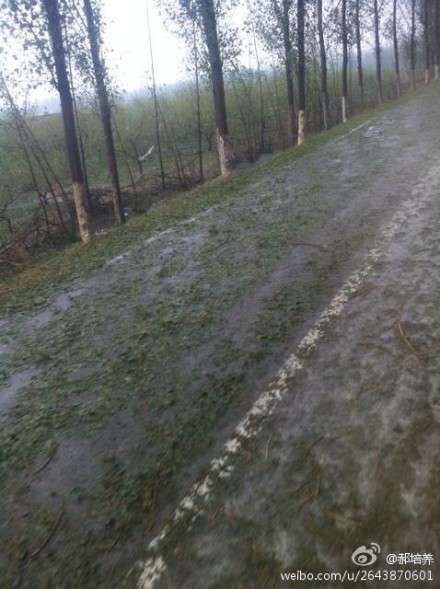 网友实拍山东泗水冰雹现场（组图）