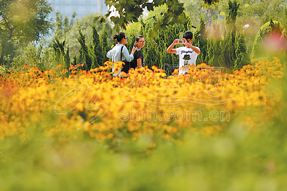 我国绿色GDP取得的成就_我国取得的成就手抄报(3)