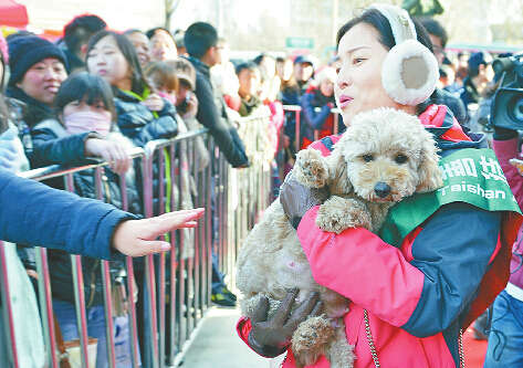 济南流浪狗免费领养受热捧 两百市民争35只狗
