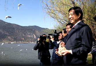薄熙来率团考察云南 在滇池喂海鸥