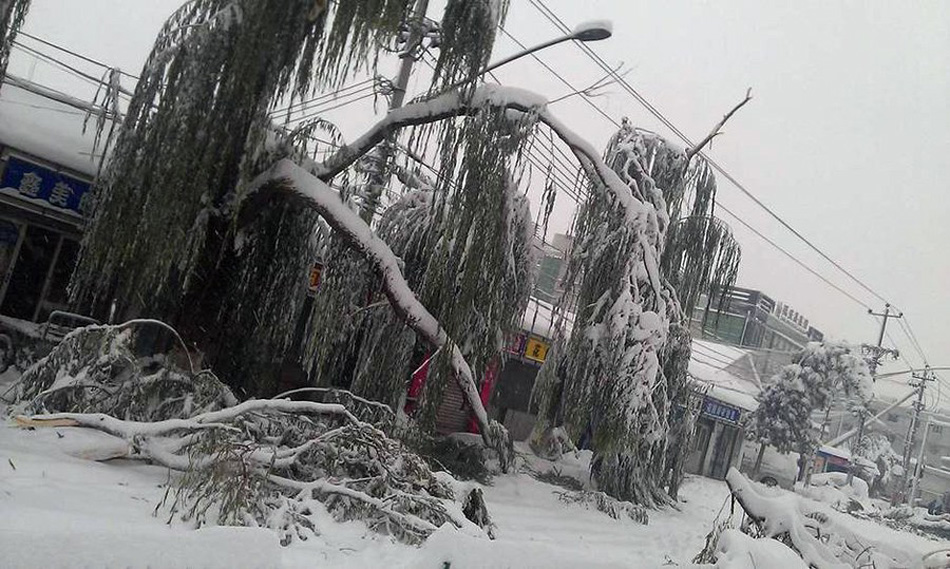 北京延庆暴雪图片