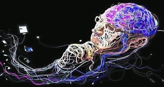 清者兴，浊者死，互联网基因也有真伪