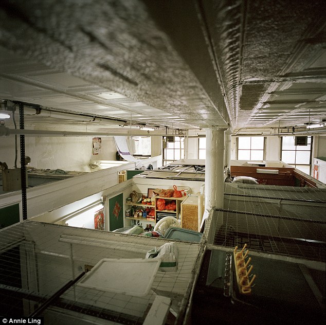 镜头揭纽约唐人街华人劳工艰难处境 住9美元一