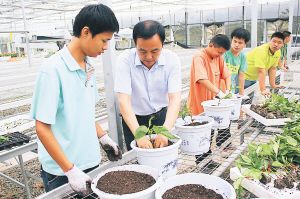 南京溧水特教学校校长建培训基地 帮学生就业