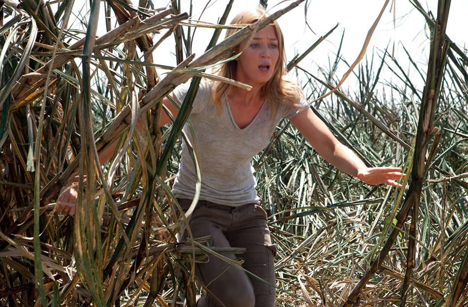 《环形使者》四主演造型曝光 许晴老布恩爱缠