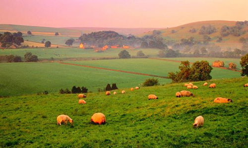 阅读英国约克郡 人文之光照进自然世界_青岛频道_凤凰网