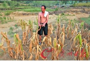 河南旱灾:城里家家有空调 农村抗旱却没电
