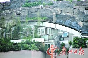 位于26楼楼顶的假山别墅非常壮观。
