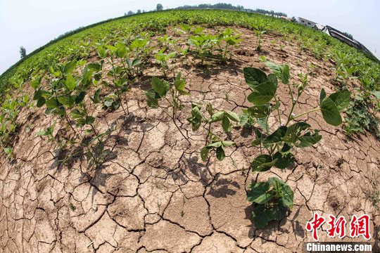 安徽干旱面积达800余万亩