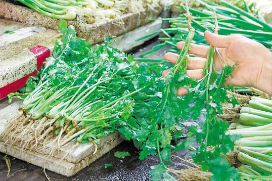 广州果蔬价格飙涨 香菜卖到20元一斤