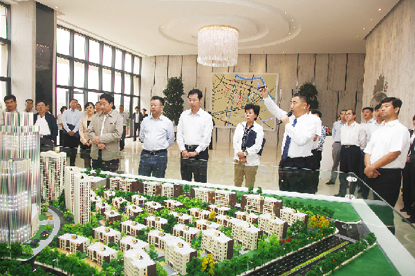 津南区领导深入辛庄镇考察