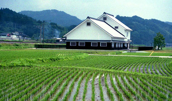 日本研究设立农户收入保险制度 构筑安全网抵