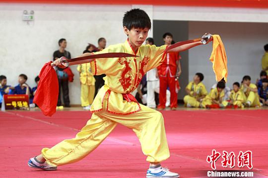 海南首届武术锦标赛在儋州落幕 最小选手仅4岁