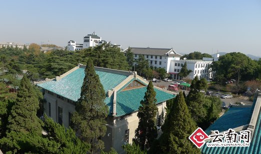 [全国网媒湖北高校行]武汉大学新增一新景观 