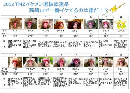 日本一动物园模仿AKB48投票 选出最帅公猴