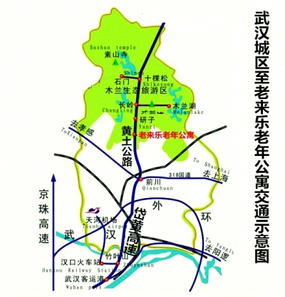 罗连松:拿什么温暖我们的桃姐|老人|老年