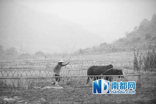 市危险废物处理站存环境隐患|垃圾|分类