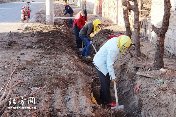 《滨海新区清洁村庄活动中的一支“火凤凰”突击队》(拍客:草青青cqq)