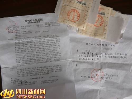 低保申请书收入证明书(2)