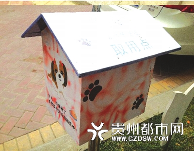 狗狗不再随地大小便|宠物|养狗