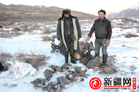 乌鲁木齐两男子因涉捕国家二级保护动物雪鸡被