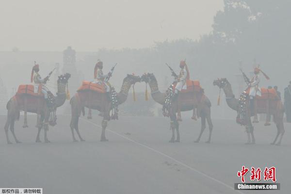 印度新德里成全球污染程度最高主要城市|印度