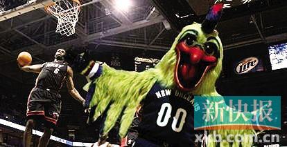 鹈鹕队:吉祥物打球受伤整容|篮网|客队