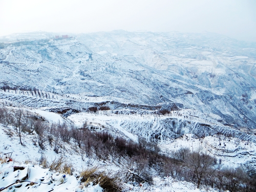 永靖:春雪曼舞迎马年 山区雪景美如画