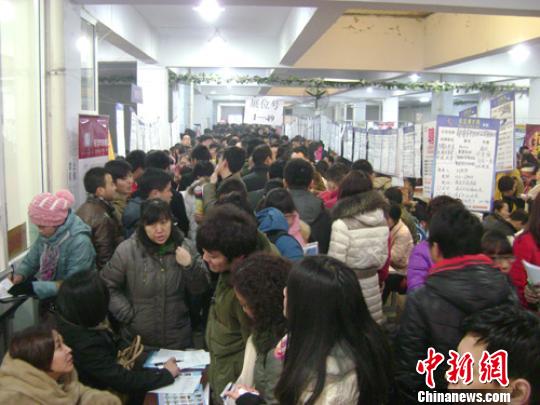 河北保定新春首场招聘会:中小企业遭冷遇|招聘