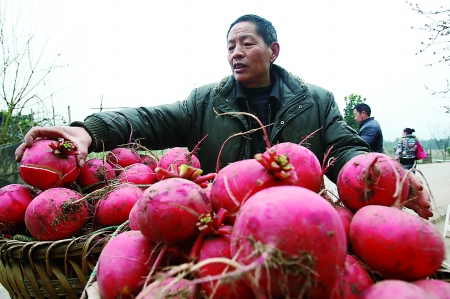 昨日，合川区龙市镇青坝村，村民在晾晒萝卜片。　本组图片由记者 龙在全 摄<Img alt=