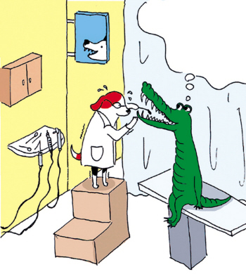 21三体高风险_高风险高收入的工作