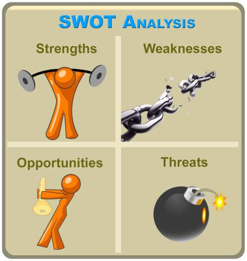 公共资源交易平台SWOT分析(上)|政府采购|投标