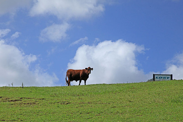 多彩夏威夷 不只是海岛|导游|旅行社
