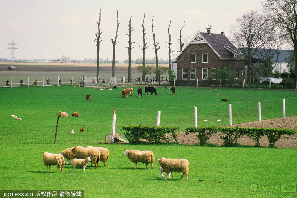 四川人口有多少_荷兰有多少人口和城市