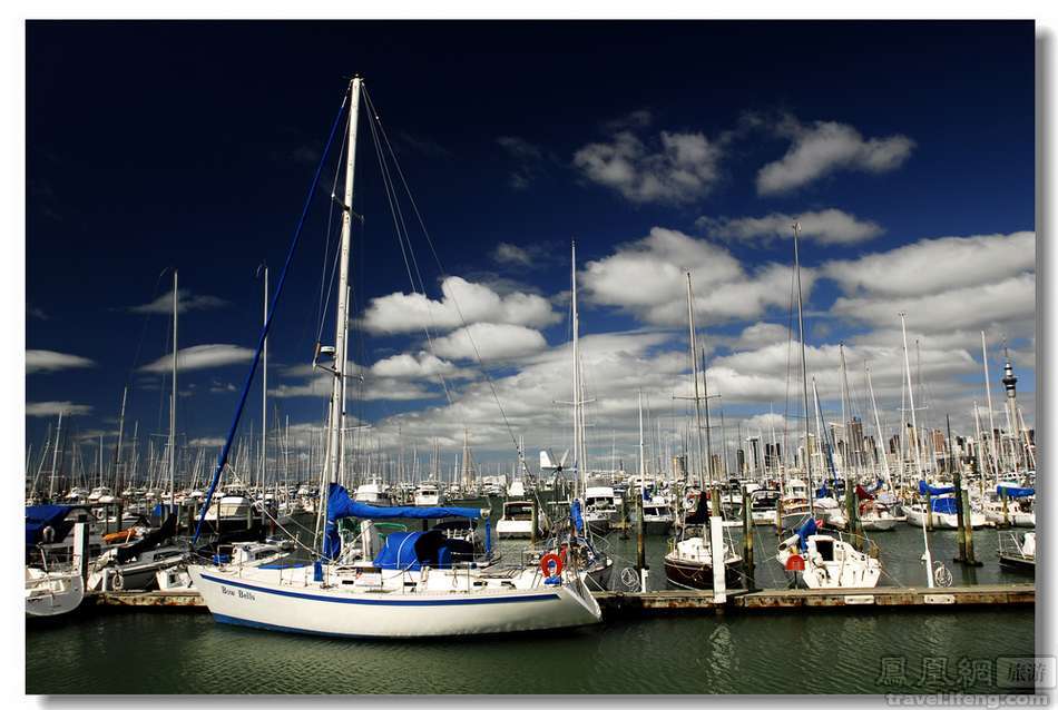 董璇澳洲近照曝光_澳洲一年收入(3)