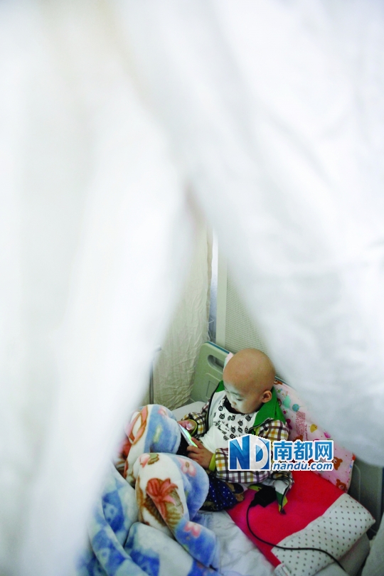 广东:白血病男童5万救命钱被房产税退税电话