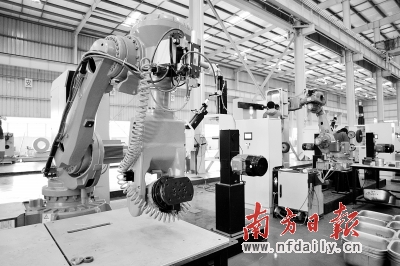 南海有3万多工业企业，工业机器人应用潜在市场可观。卢奕诚 摄